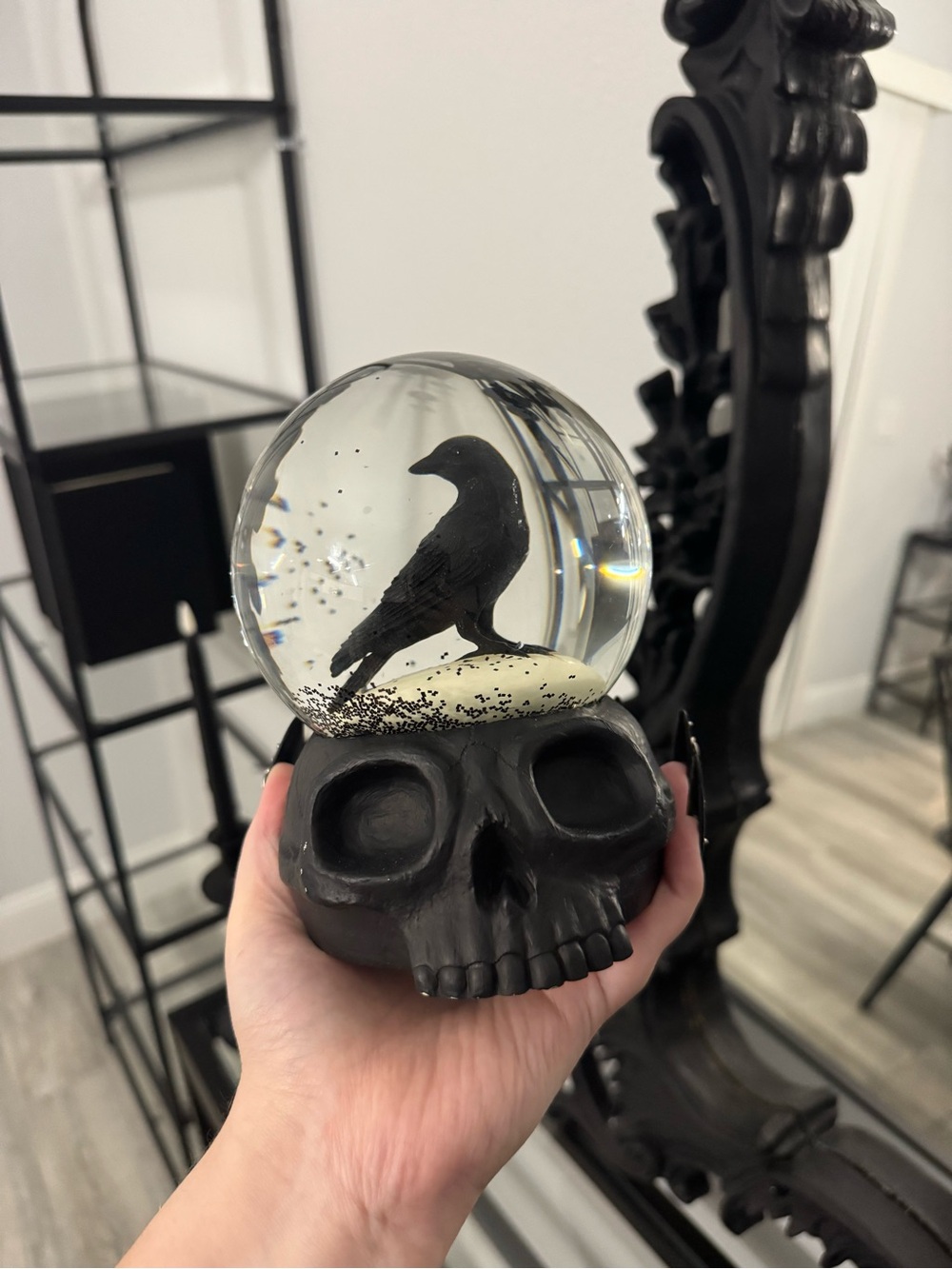 Black Skull Snow Globe with Raven - Home Accents Decor
